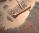 Kiln Dried Sand