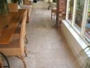 Crema Antico - Limestone